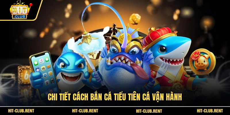 Chi tiết cách bắn cá Tiểu Tiên Cá vận hành 