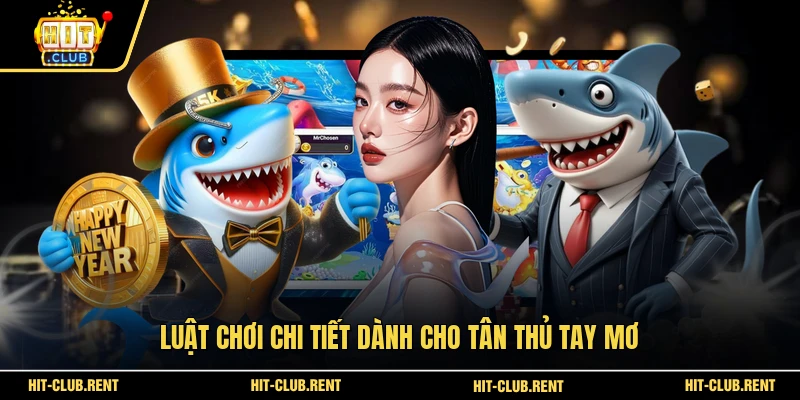 Luật chơi chi tiết dành cho tân thủ tay mơ 