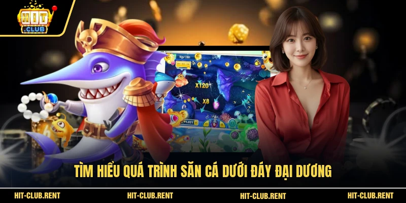 Tìm hiểu quá trình săn cá dưới đáy đại dương 